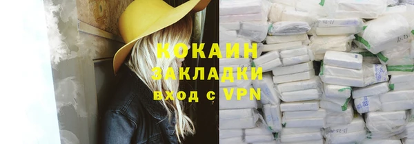 индика Инсар