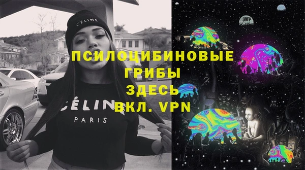 ALPHA PVP Рославль