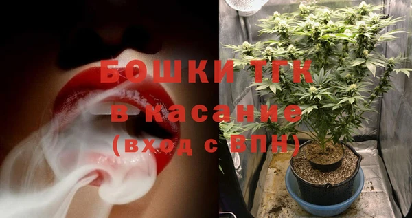 шишки Заречный