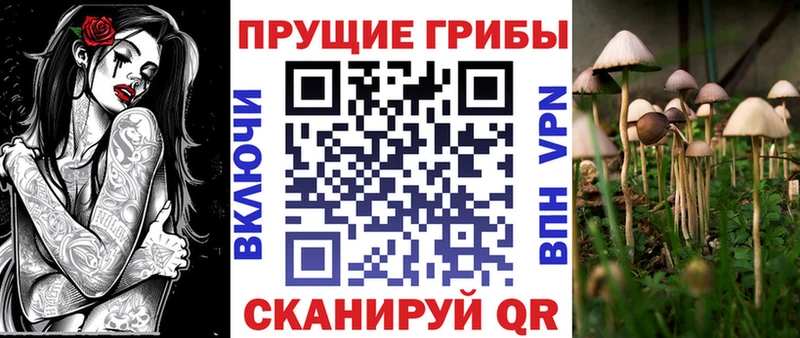 Псилоцибиновые грибы Magic Shrooms  Кореновск 